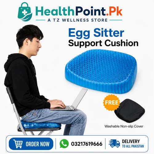 Egg Sitter Cushion Price In Pakistan